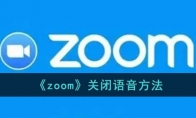 《zoom》攻略——关闭语音方法