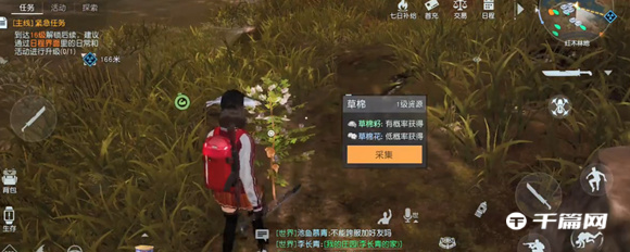 《<a href=https://hrbzj.com.cn/game/821.html target=_blank class=infotextkey>黎明觉醒</a>》草棉花获取位置介绍